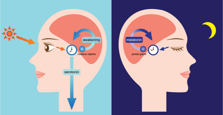 Can You Overdose on Melatonin? 7 Melatonin Dosage Tips DrFormulas Can You Overdose on Melatonin? 7 Melatonin Dosage Tips DrFormulas