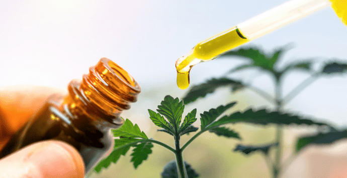 Proven Benefits and Dangers of CBD Oil