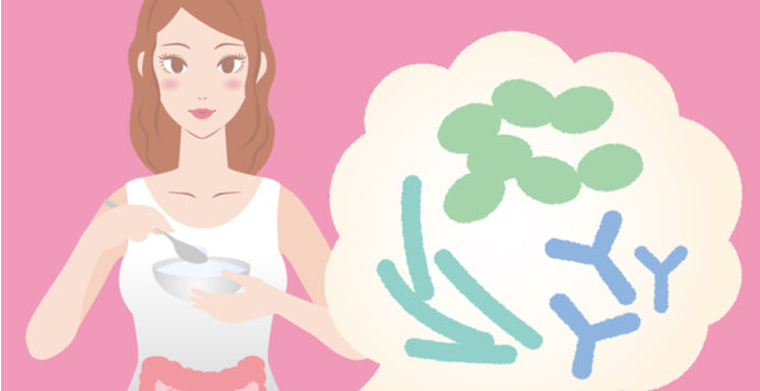 Prebiotic vs Probiotic : What are the Differences? Which is Better?