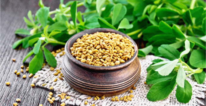 The Benefits of Fenugreek for Hair Growth