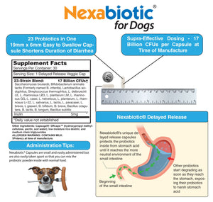 DrFormulas Best Probiotics for Dogs | Nexabiotic Probiotic for Dogs, 30 Doses
