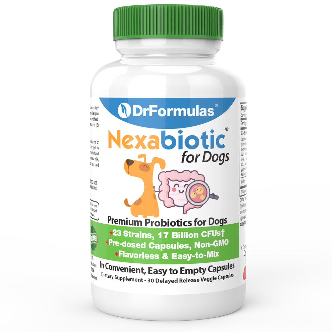 DrFormulas Best Probiotics for Dogs | Nexabiotic Probiotic for Dogs, 30 Doses
